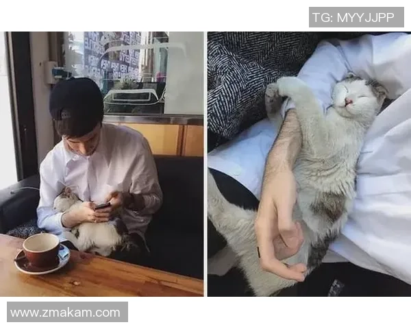 球星与猫狗共踢足球 亲子互动新玩法引爆体育圈热潮